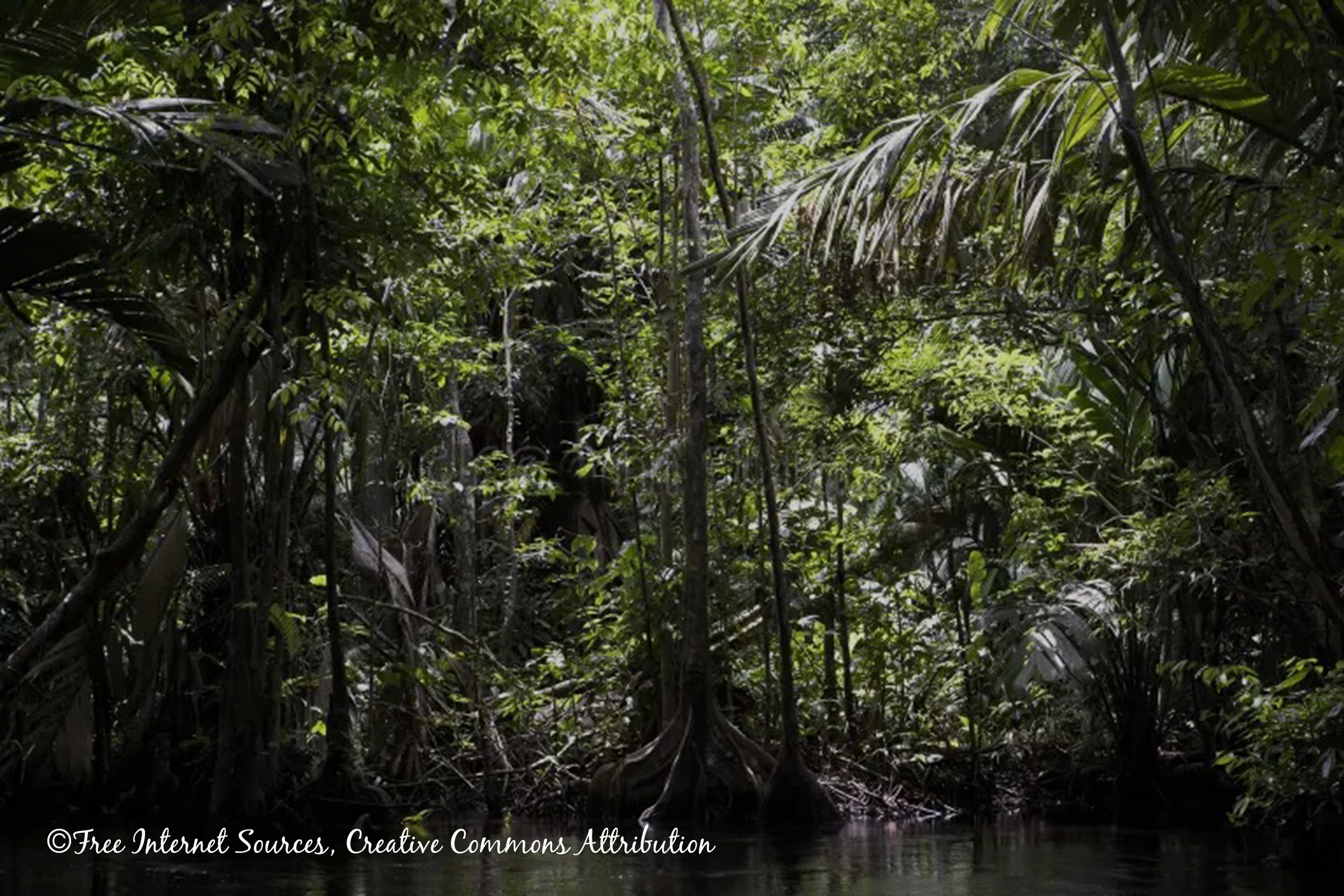 Clearwater Part, Rio Orinoco, Venezuela – BAP