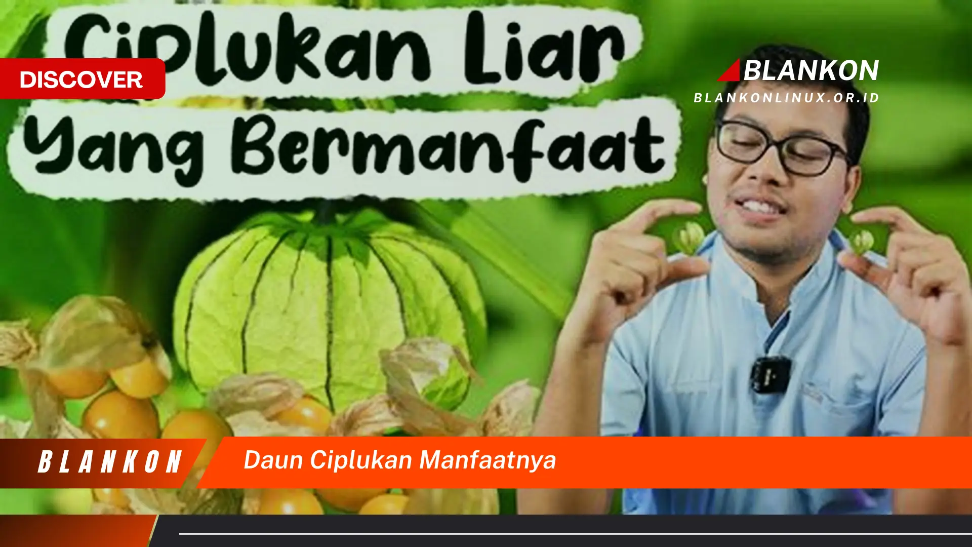 Ketahui 7 Manfaat Daun Ciplukan Untuk Kesehatan