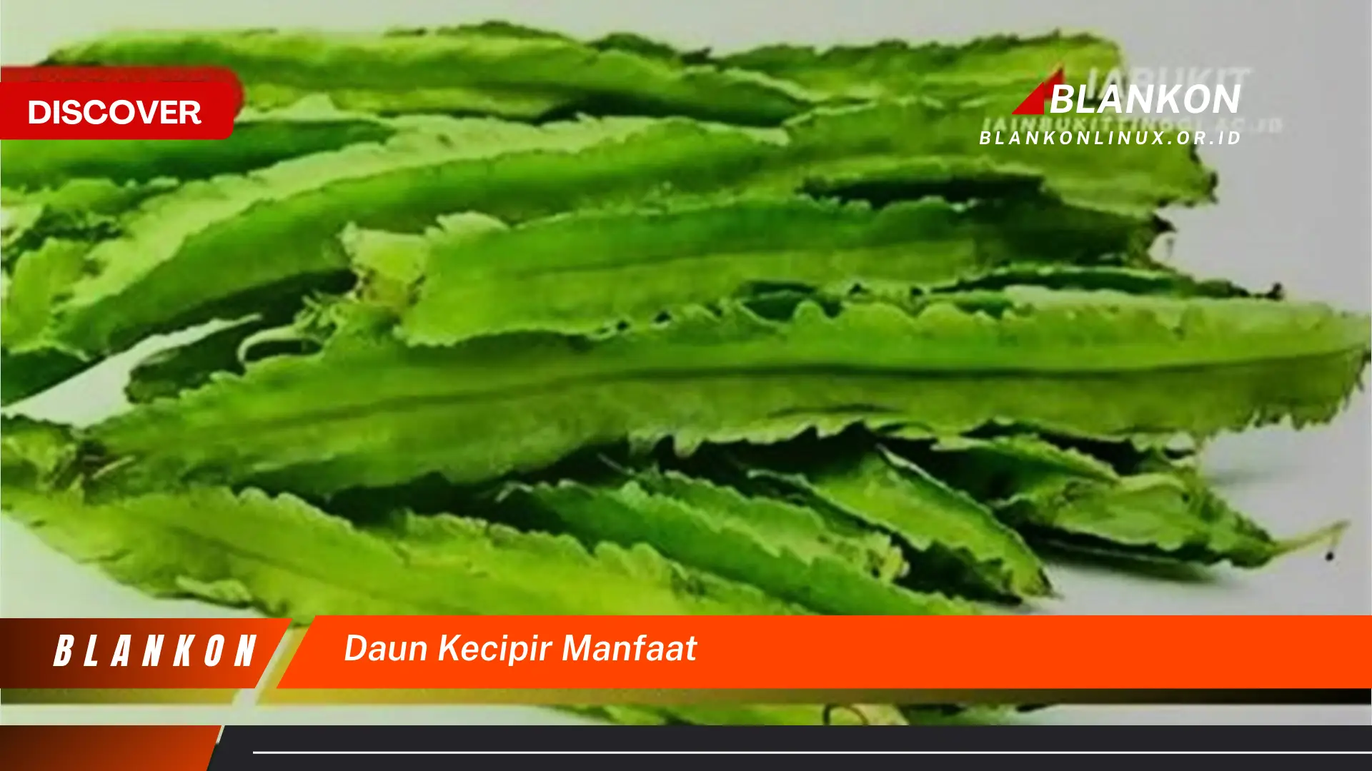 Ketahui 7 Manfaat Daun Kecipir Untuk Kesehatan