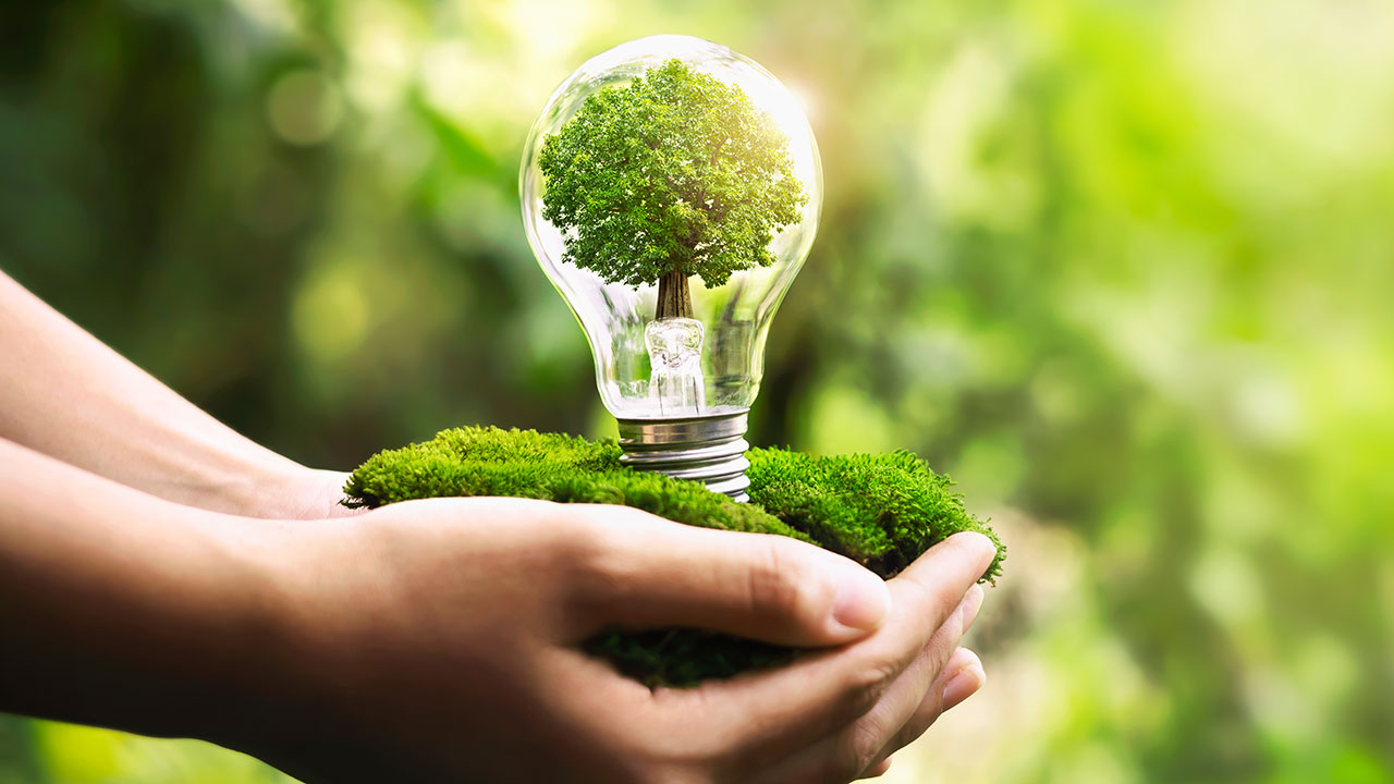 Why Sustainable Living Is The Future: Benefits For You And The Planet - Information Hunts
