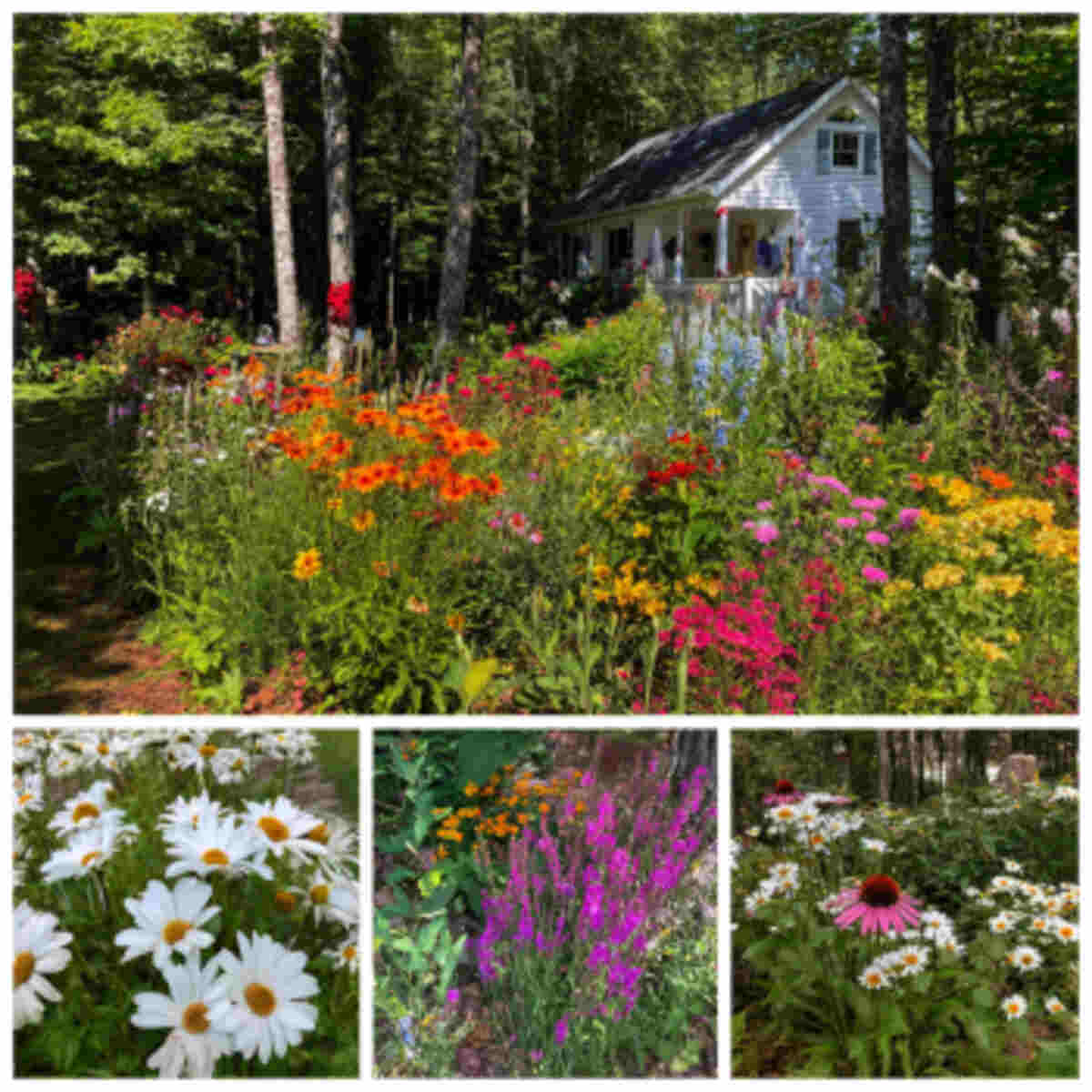 20 Garden Ideas With Seasonal Color Transitions