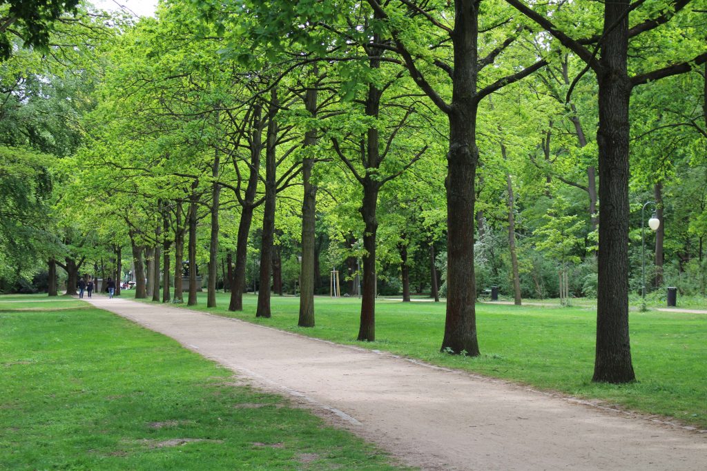 Parks – Blue World City