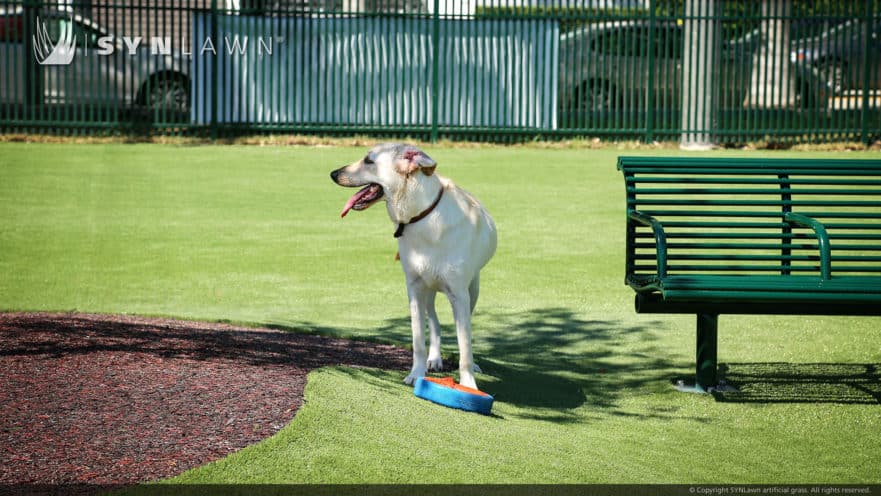 #1 Best Artificial Grass Install Lowell MA| Boston Landscape Co.