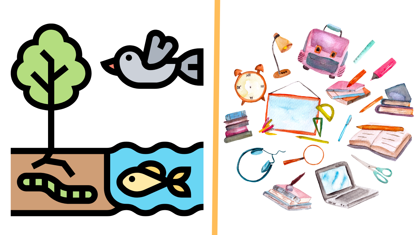 Living And Non-Living Things For Kindergarten: 10 Activities