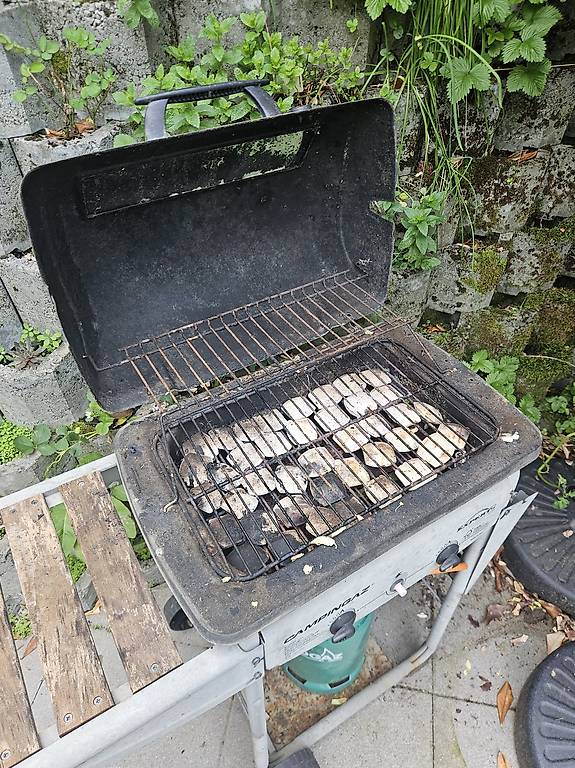 À DONNER Barbecue ! Avec Blocs Céramiques! Canton Genève - Anibis.ch