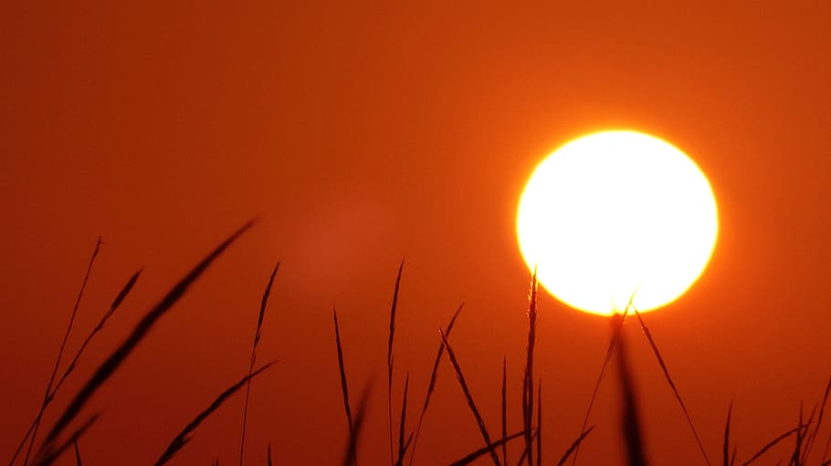 Warm Nature Wallpaper