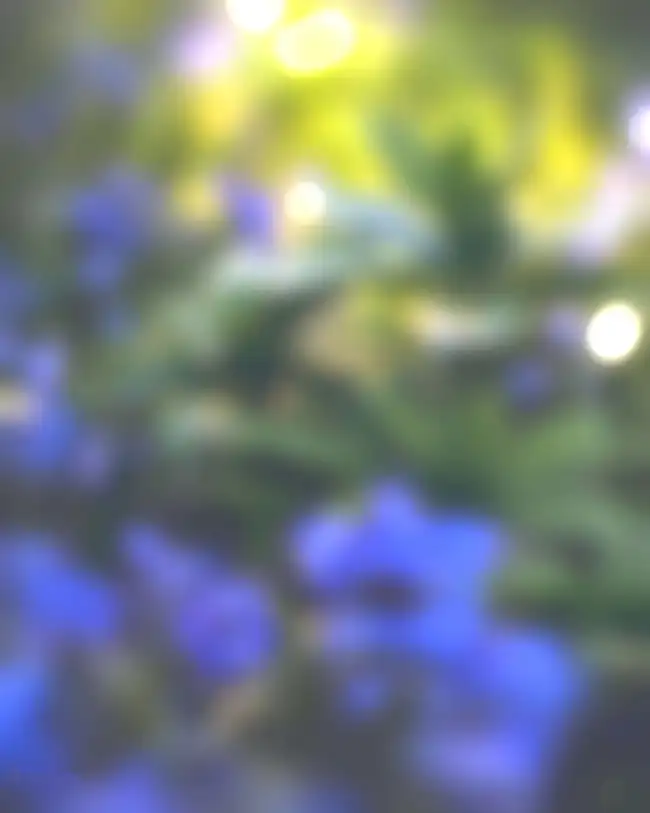 🔥 Blurred Green Editing CB Background HD Download | CBEditz