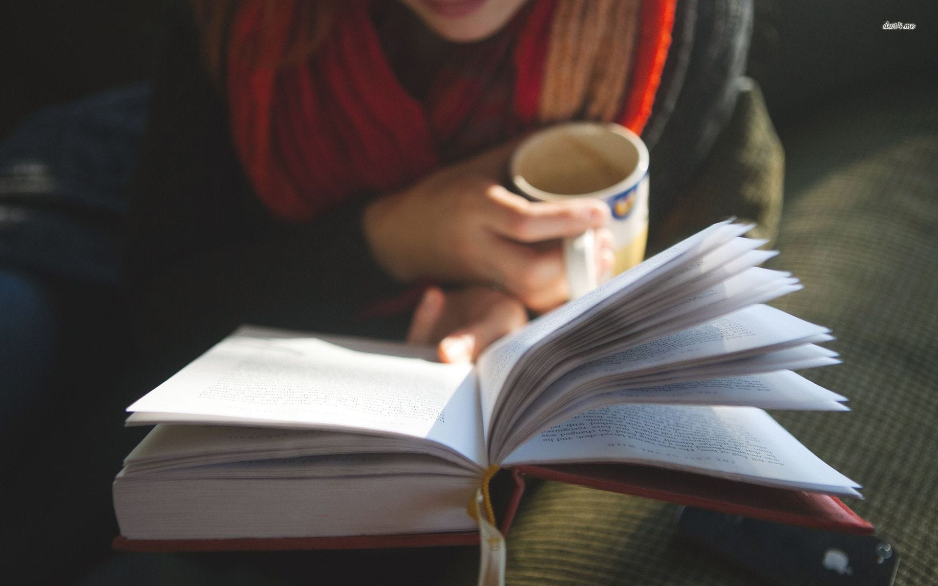 The Benefits of Reading Everyday — Why I’m Reading 100 Books This Year