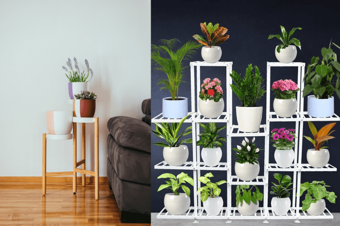 Living Room Plants India | Cabinets Matttroy