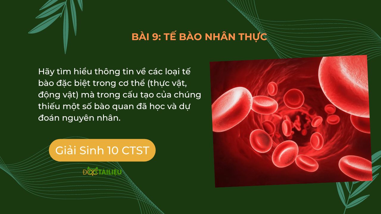 Hãy Tìm Hiểu Thông Tin Về Các Loại Tế Bào đặc Biệt Trong Cơ Thể
