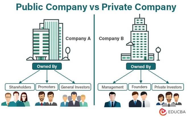 Mapping Out Each Country S Largest Public Company Pub - Vrogue.co