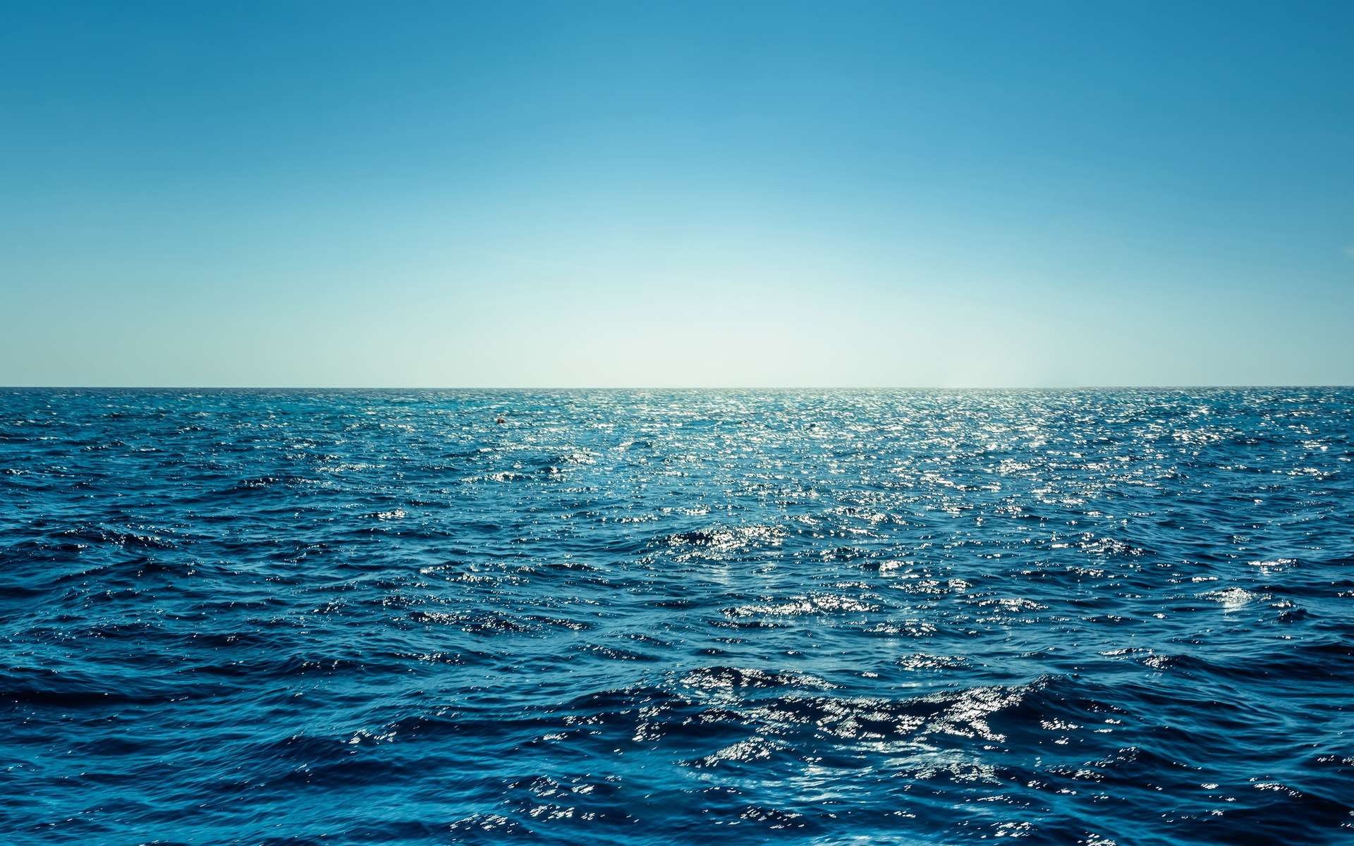 How is a new environment born?