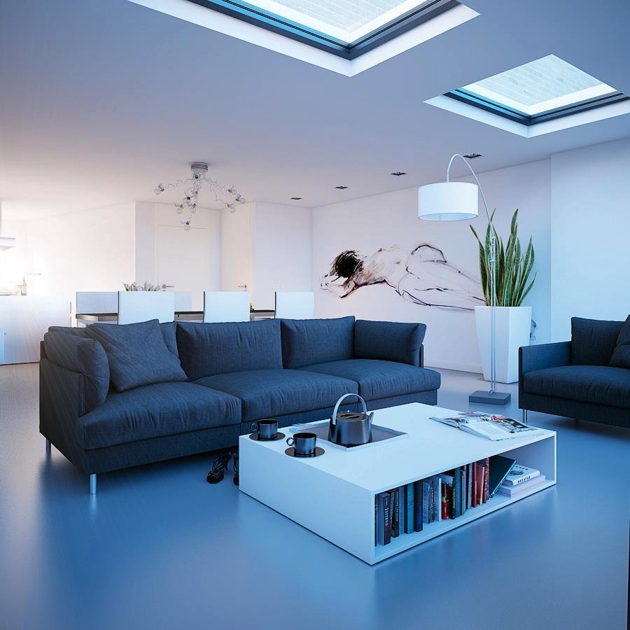 Living Rooms With Skylights
