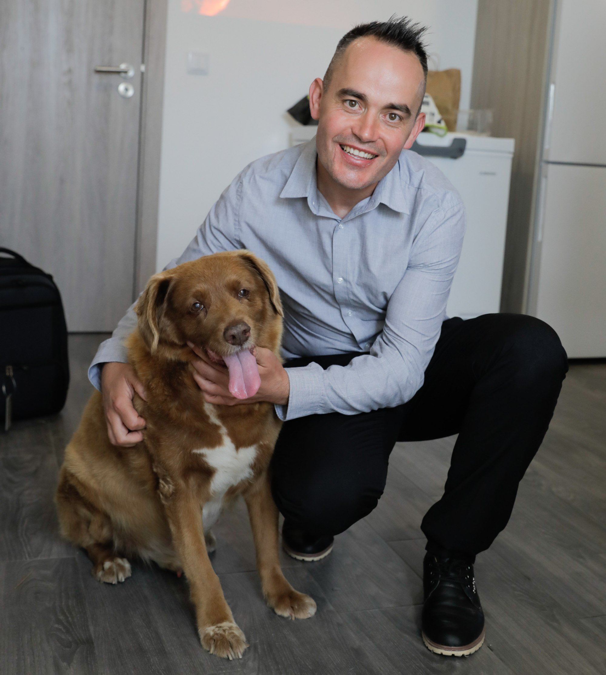 Bobi, world’s oldest dog, celebrates 31st birthday, according to Guinness World Records