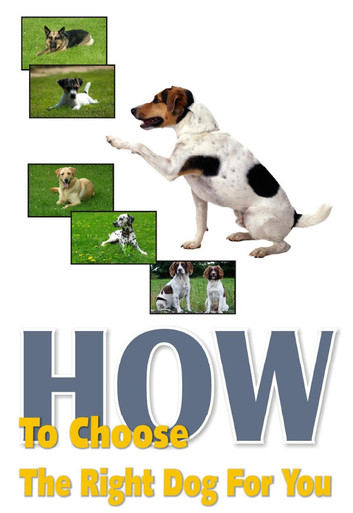 How To Choose The Right Dog For You eBook by RAMSESVII - EPUB | Rakuten Kobo United States