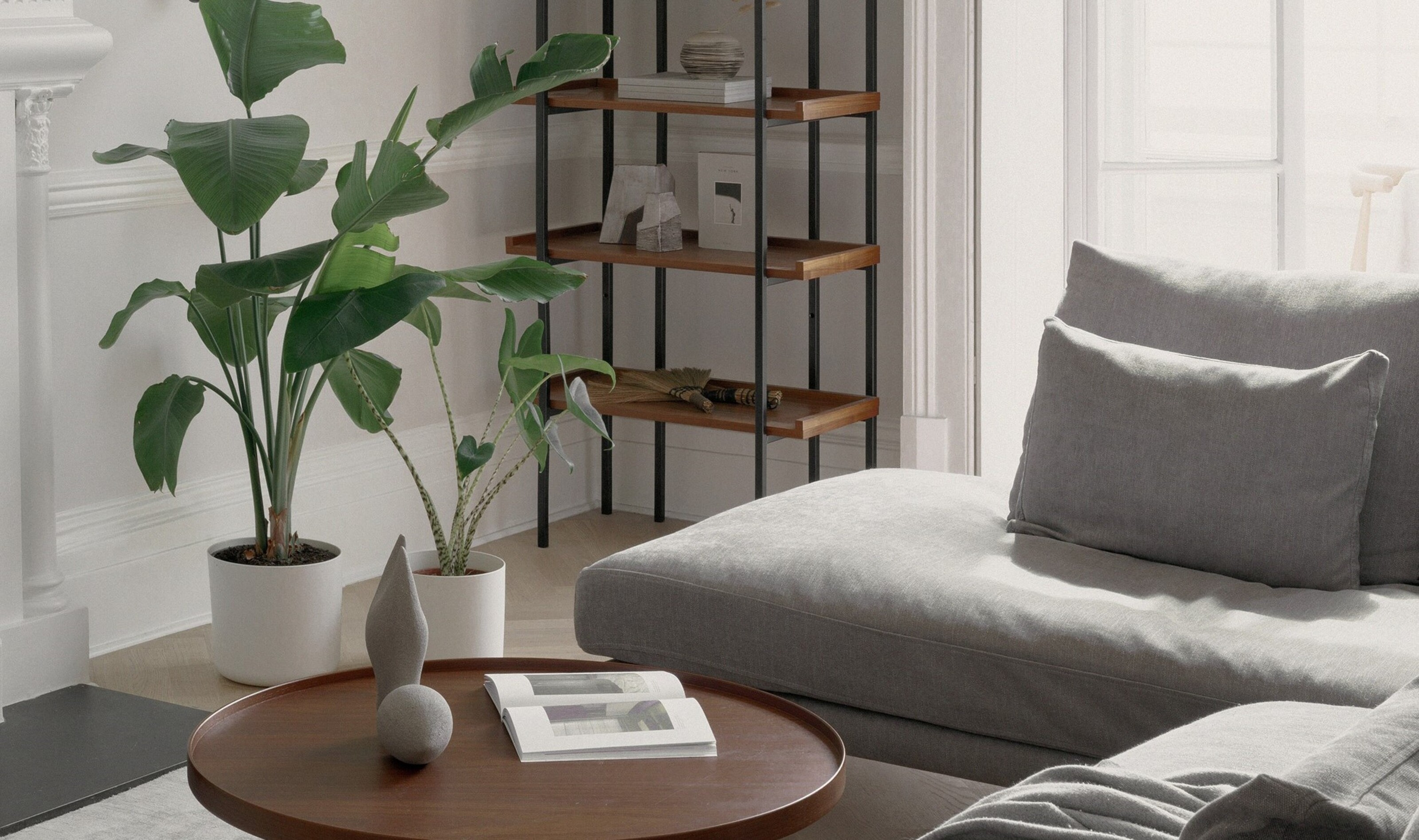 5 indoor plants that minimalists love | Livingetc