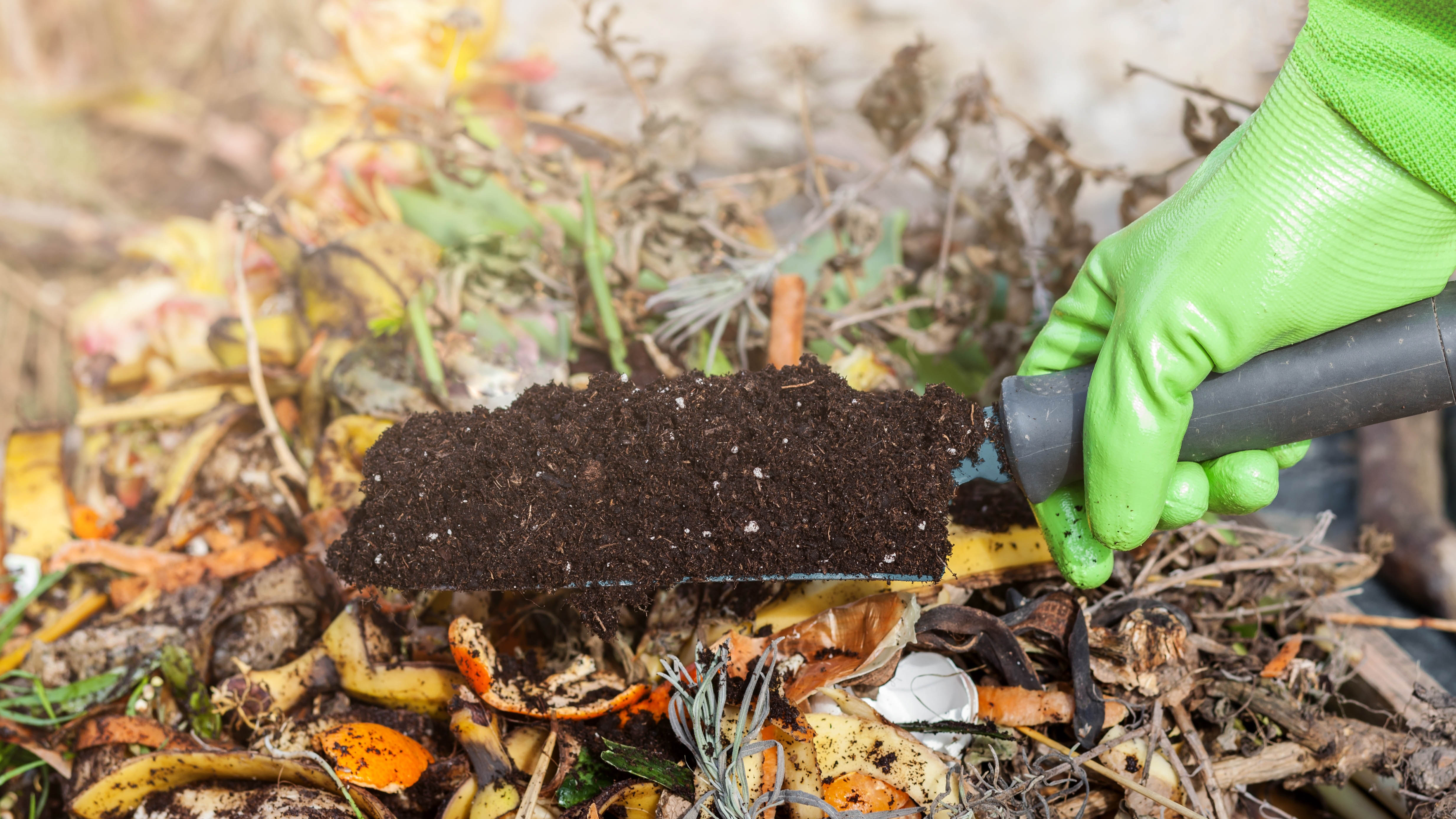 Should You Compost Weeds? Here&#39;s What The Experts Say| Tom&#39;s Guide