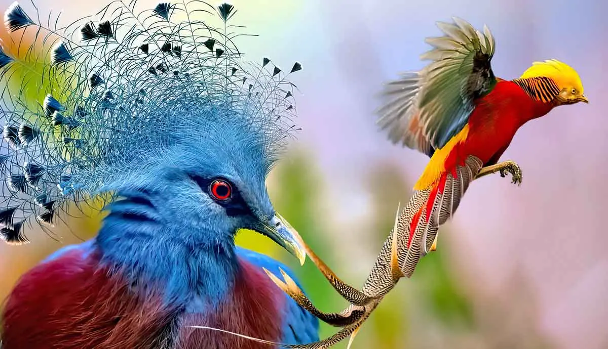 10 Most Unique Birds In The World| PetMojo