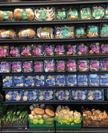 Making The Most of Mushrooms’ Ubiquity In Winter Recipes - Produce Business