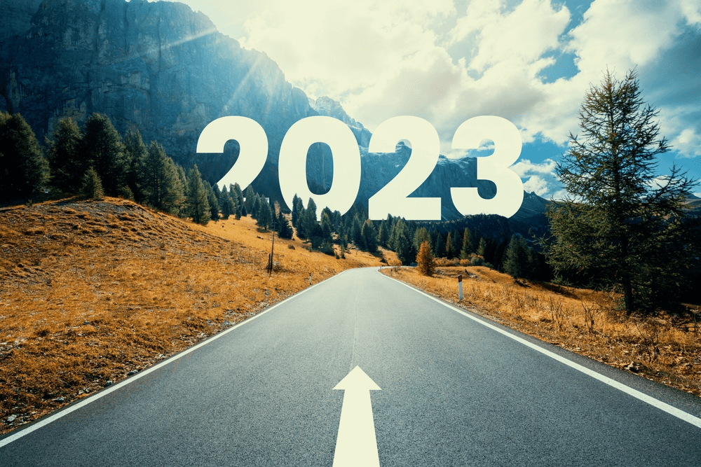 ROUVY 2023 Wrap-up Highlights Review| ROUVY