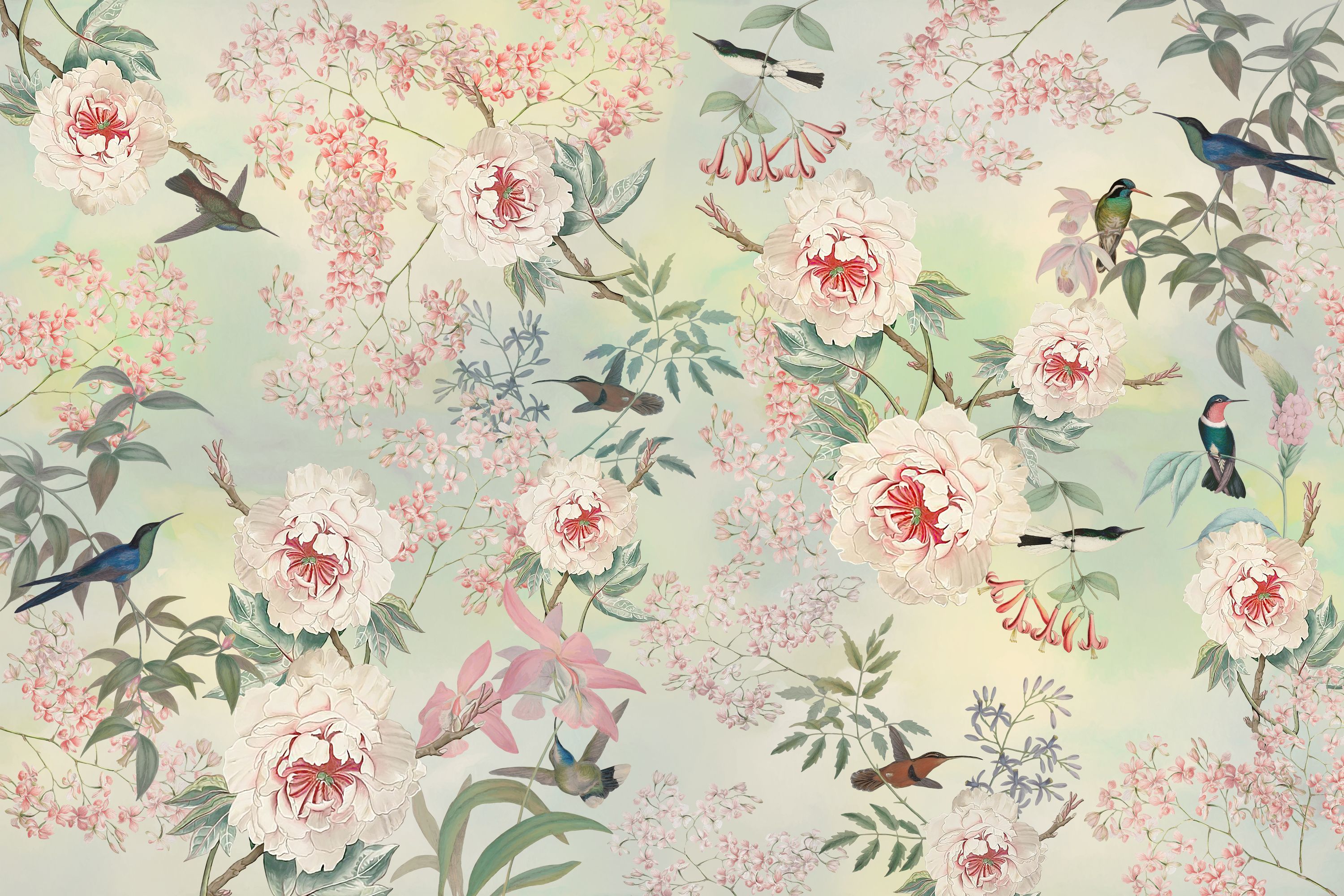 Wallpaper Patterns Floral