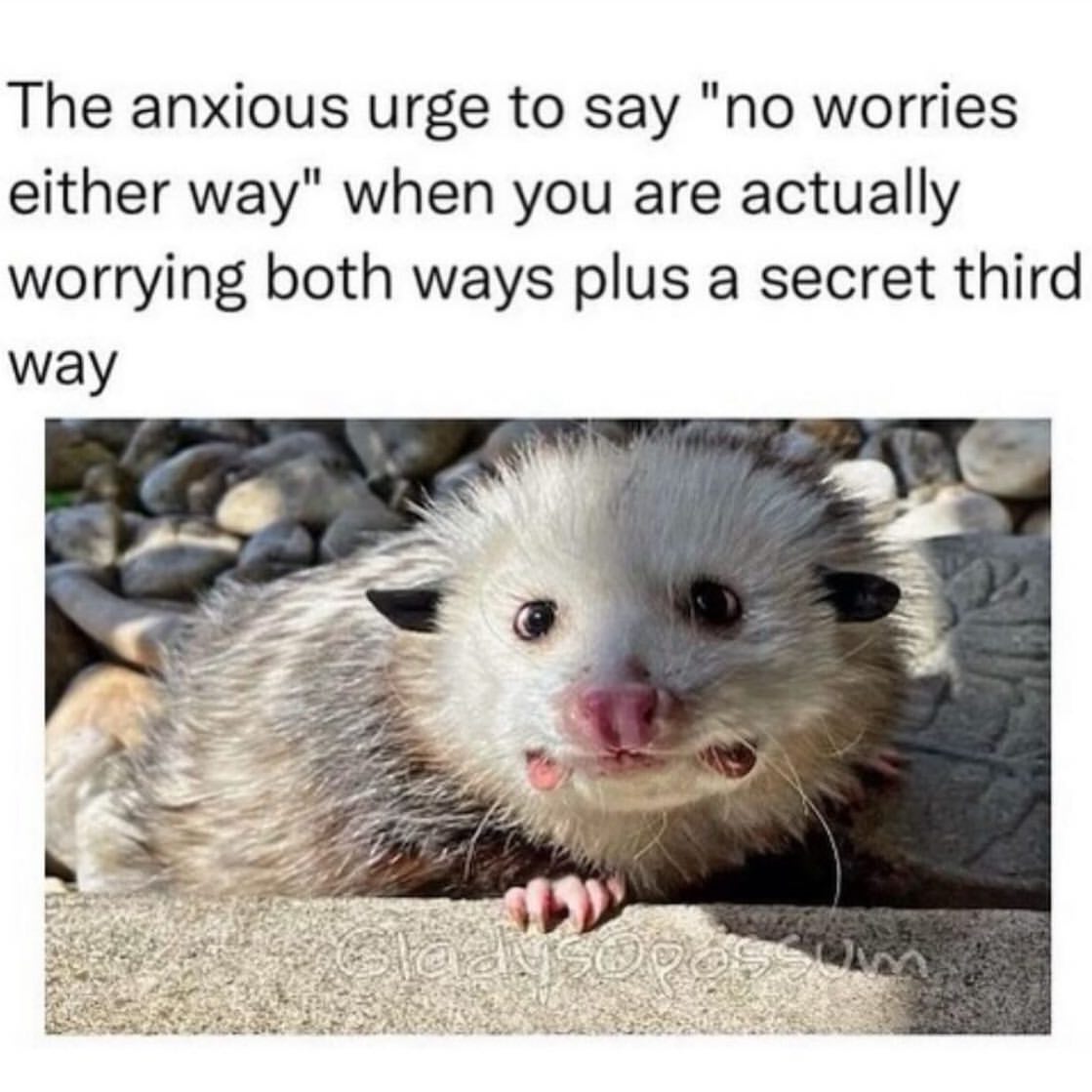 The Anxious Urge To Say &quot;no Worries Either Way&quot; When You Are Actually Worrying Both Ways Plus A...