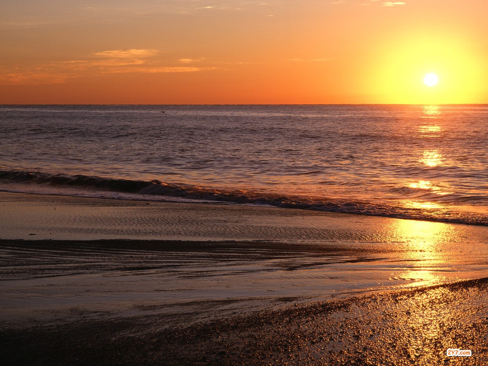 🔥 [140+] Beach Sunrise Wallpapers | WallpaperSafari