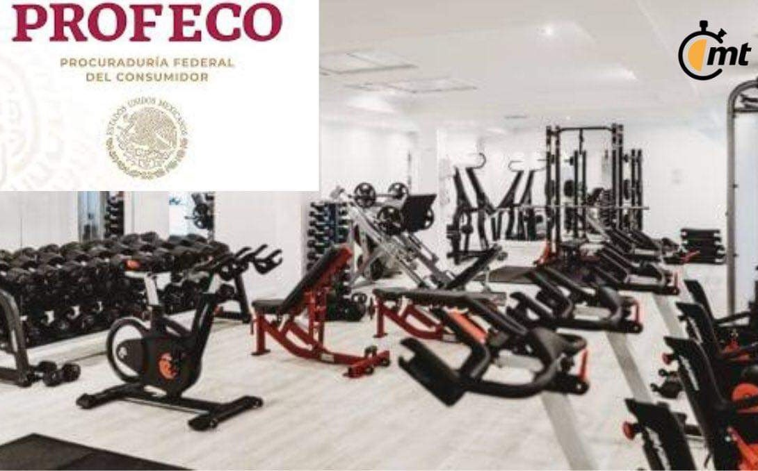 Cuáles Son Los Gimnasios Más Caros En México 2024: PROFECO