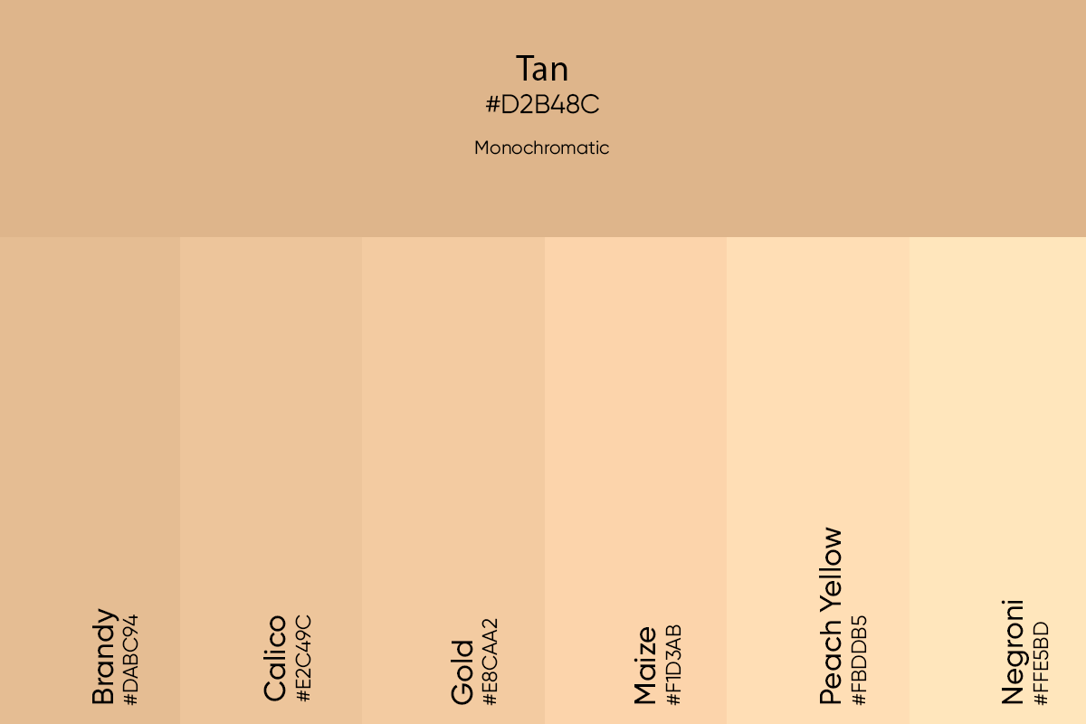 Tan Color: Its Meaning, Codes, And Top Palette Ideas - Picsart Blog