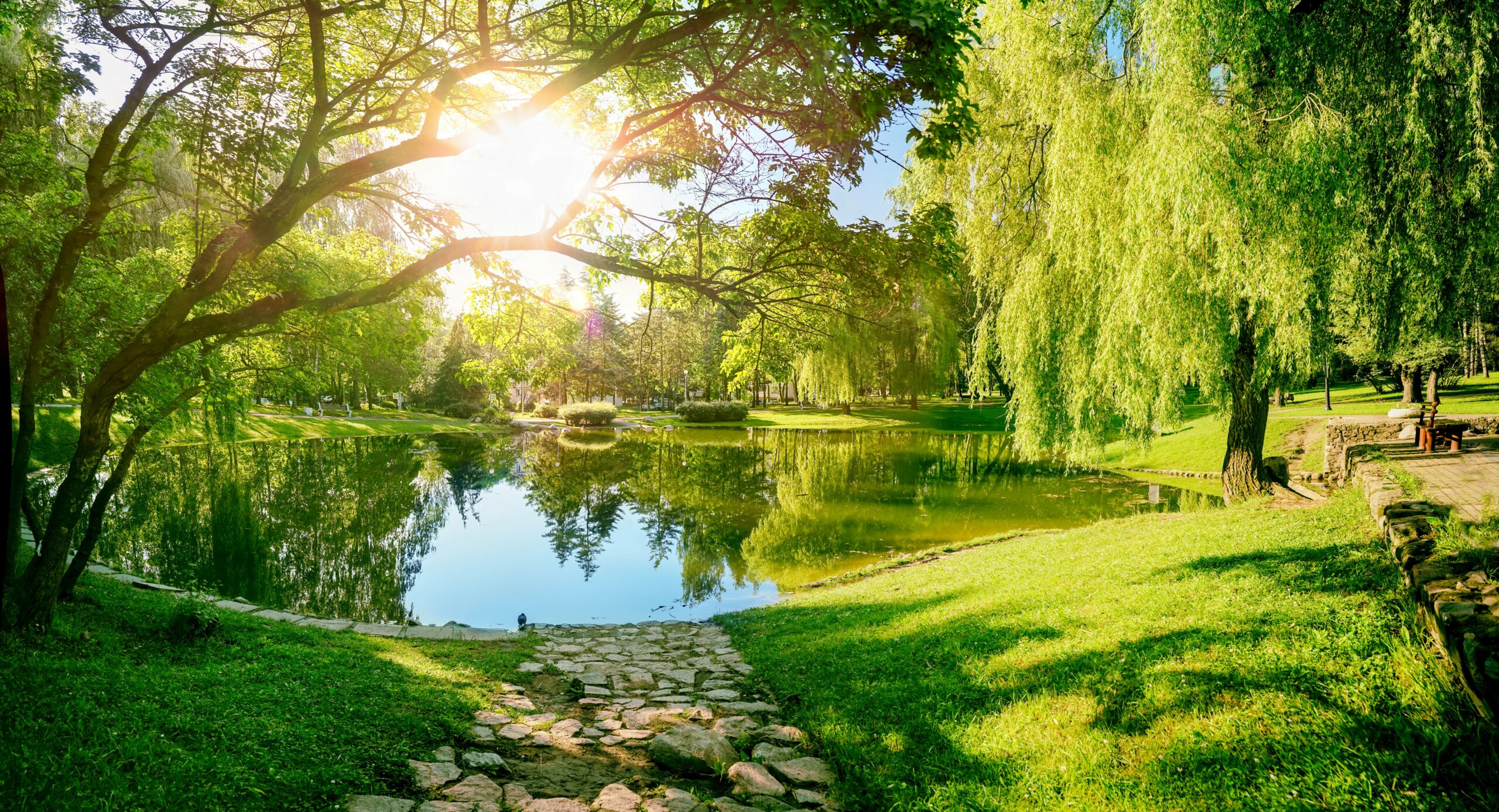 Spending time in nature improves physical and mental health - Earth.com
