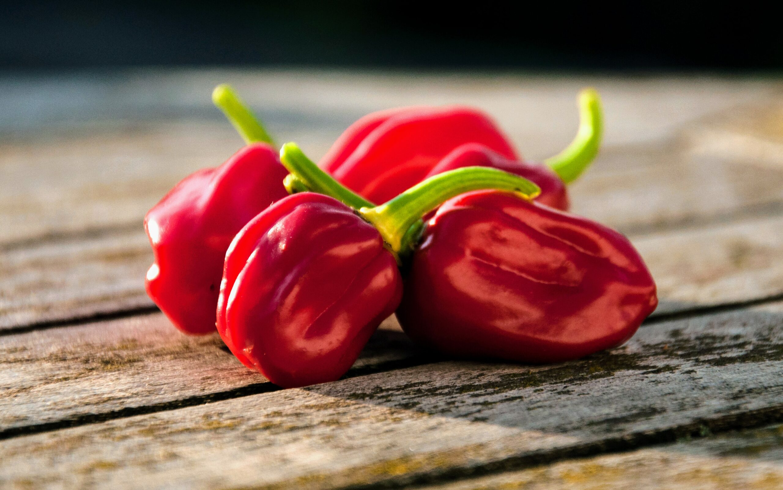 How Do Habaneros Respond To Environmental Stress? - Earth.com