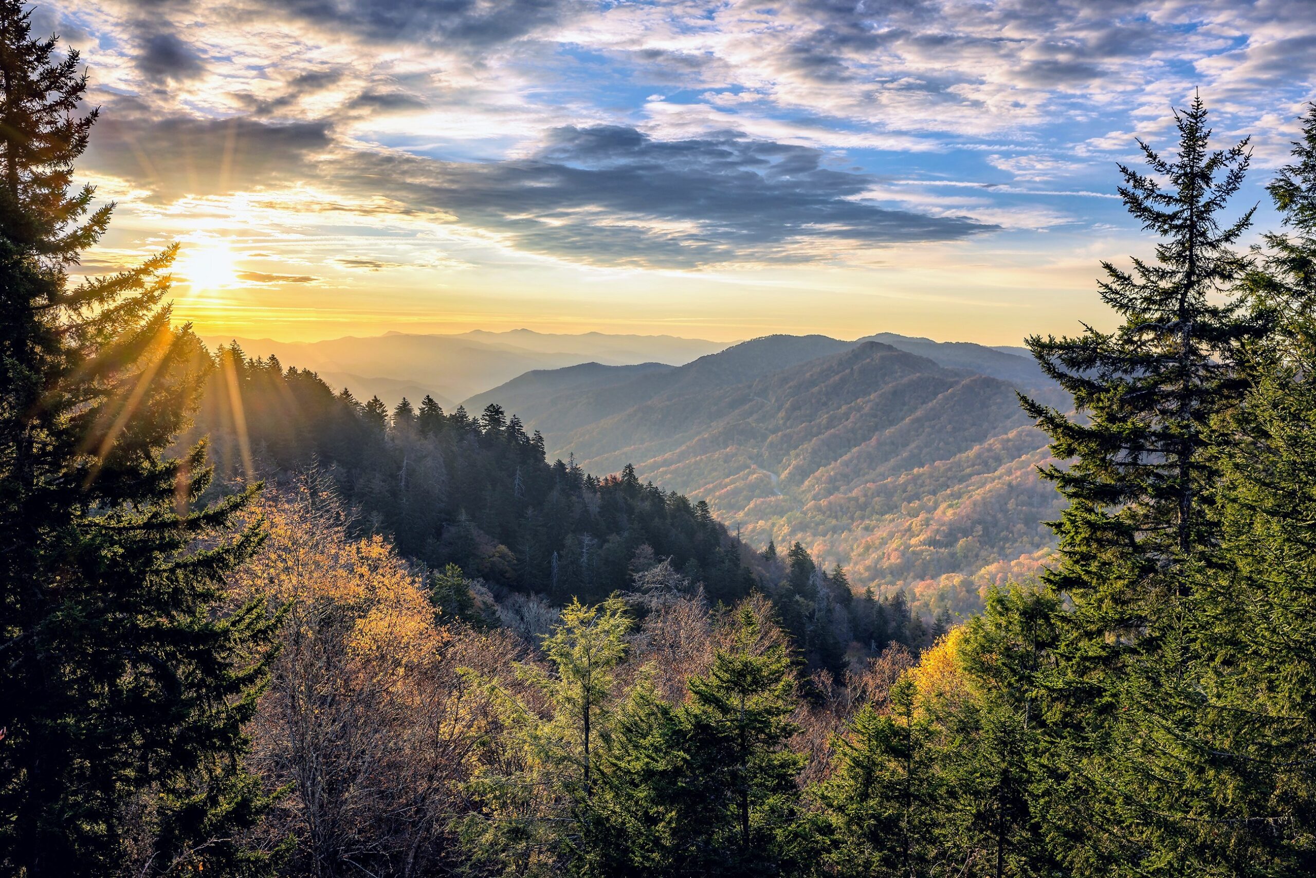 Loss Of Mountain Forests Accelerating Worldwide - Earth.com