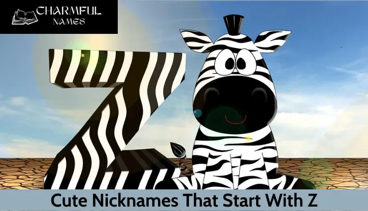 200+ Cool Cute & Funny Nicknames That Start With Z