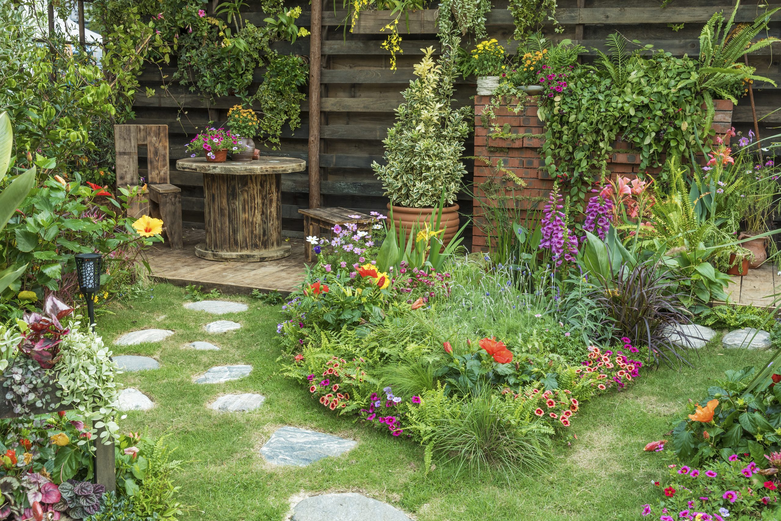 Joys of Gardening returns this February - Chronicle Media