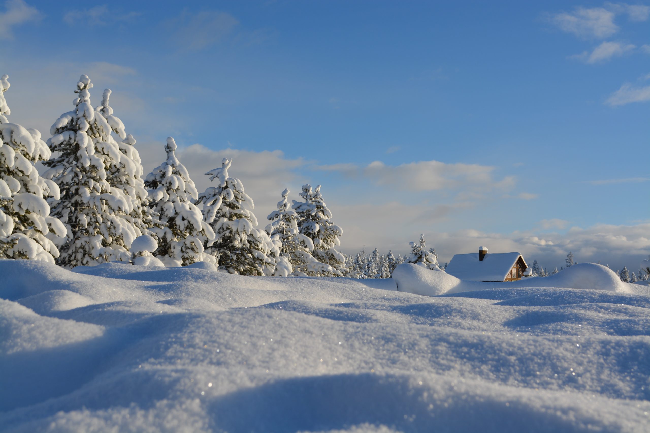 5 Things You Didn&#39;t Know About People Who Love Winter - CivicScience