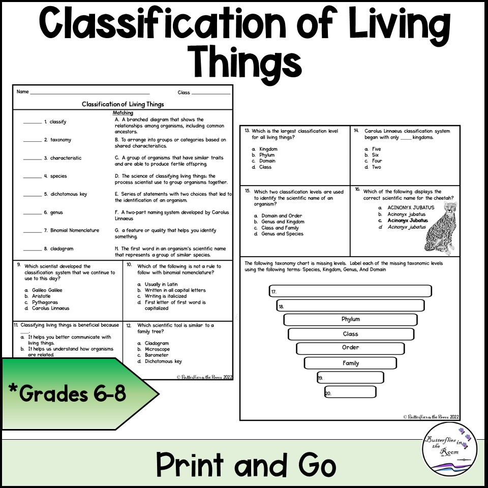 Classification of Living Things Worksheet - Classful