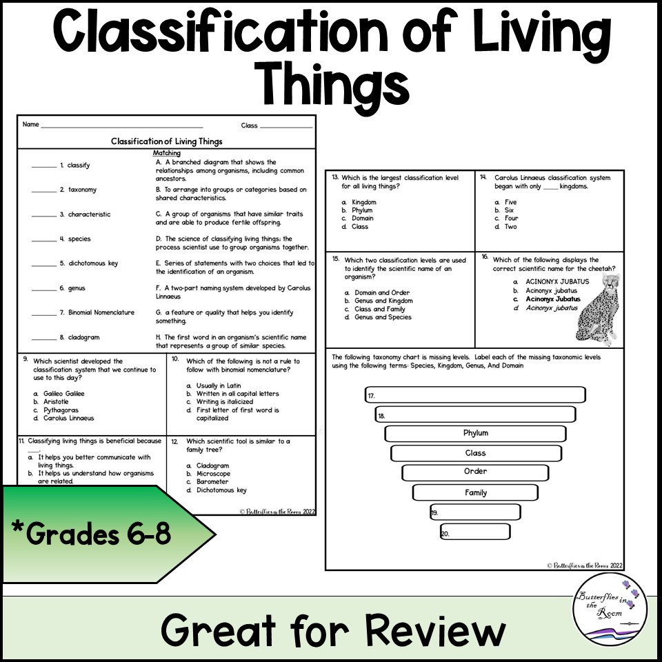 Classification Of Living Things For Kids Worksheet