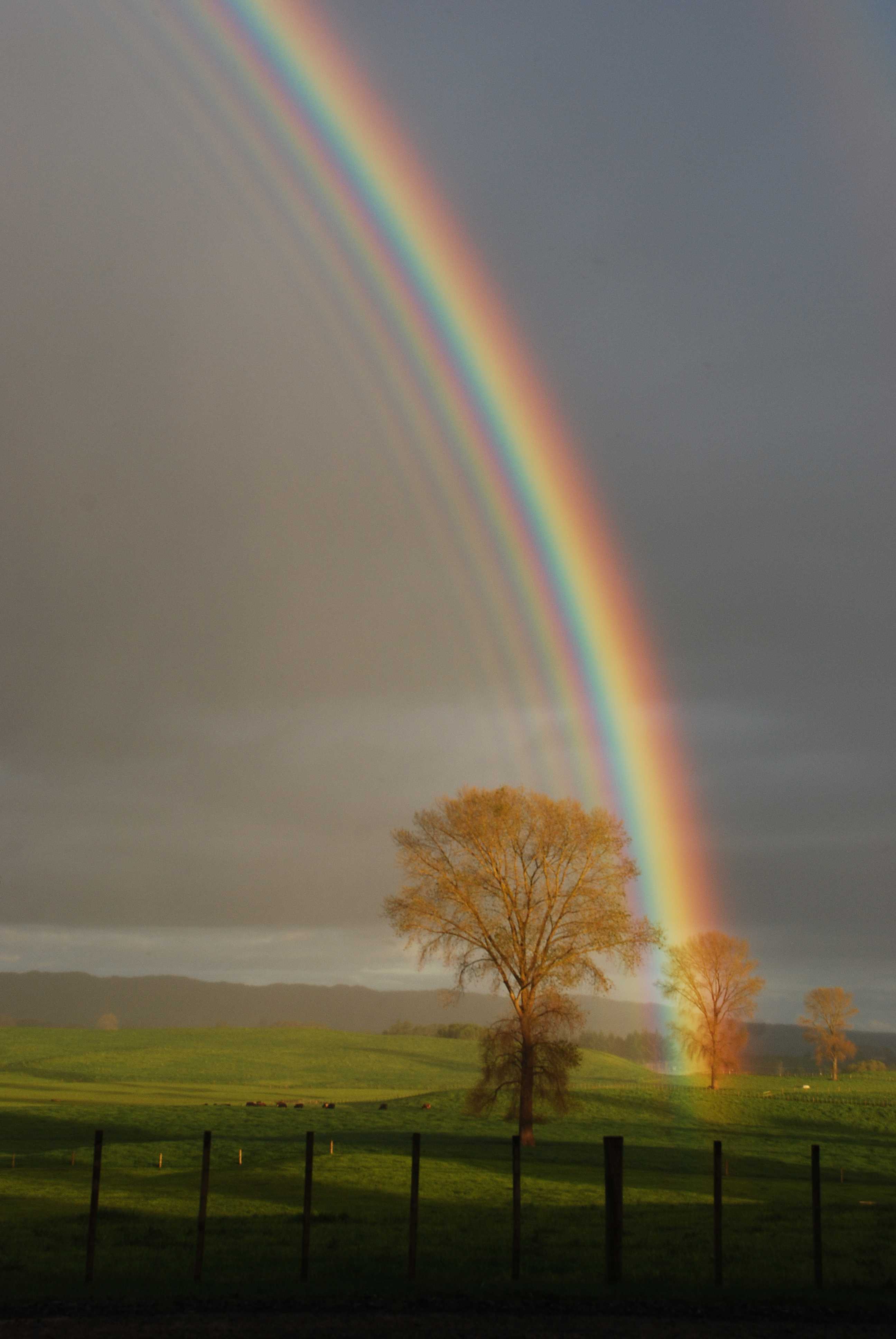 Rainbow | International Cloud Atlas