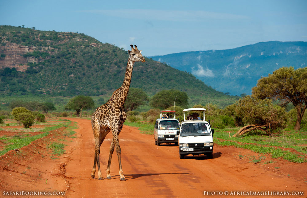 Tsavo East NP Photos – Images & Pictures