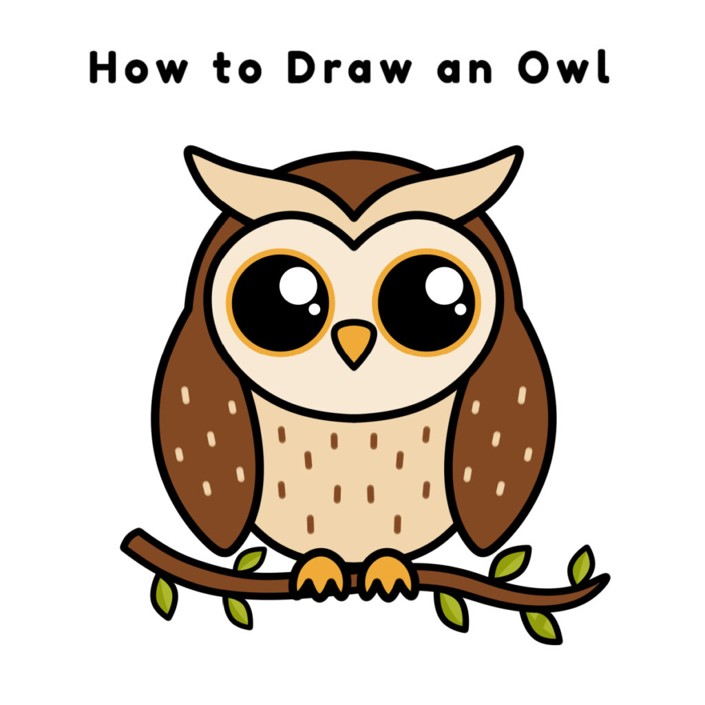 Cute Easy Owl Drawings
