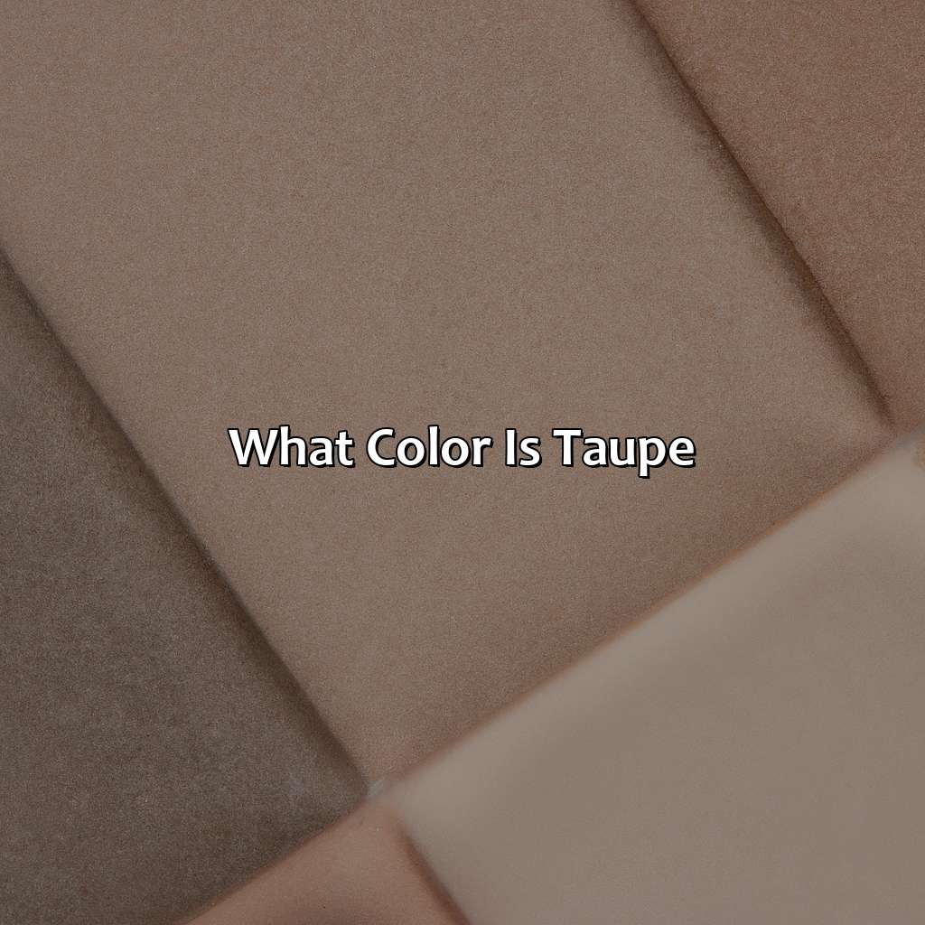 What Color Is Taupe - Colorscombo.com