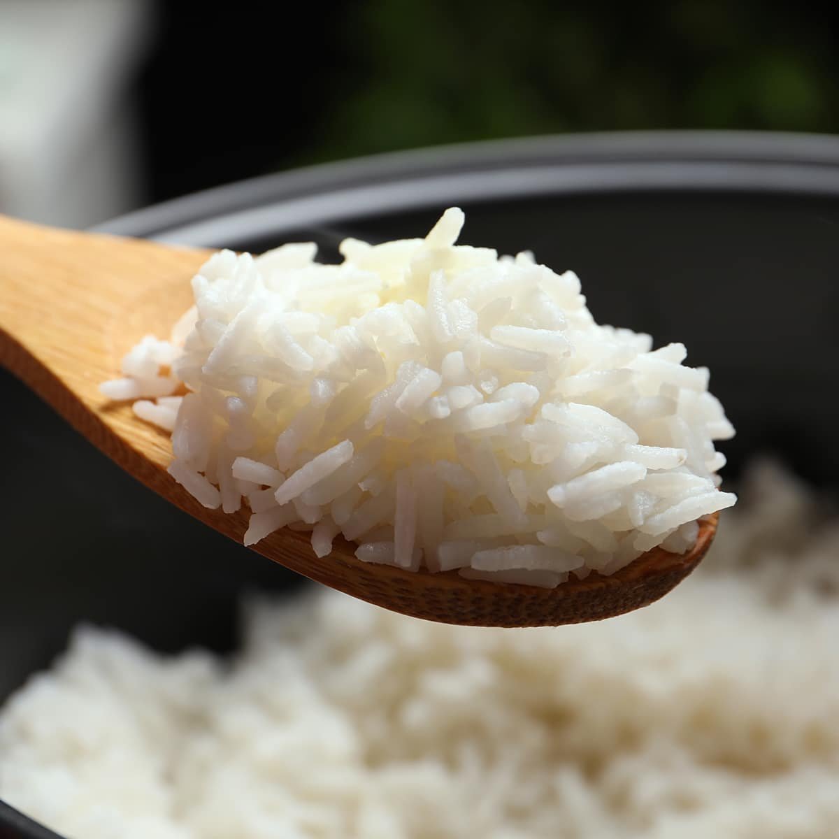 Instant Pot Long Grain Rice - Not Basmati/Jasmine - COOKtheSTORY