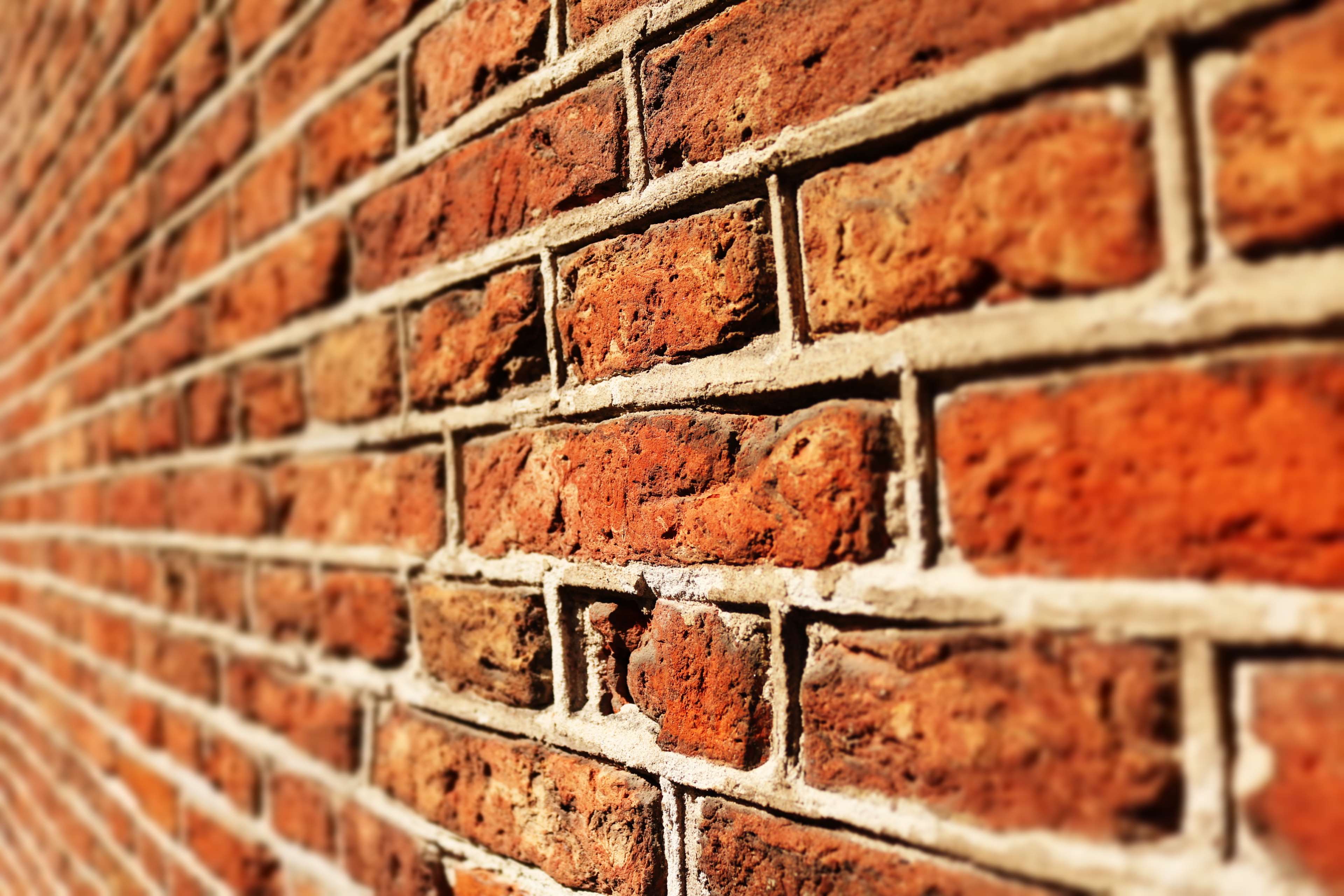 brick, brick wall, bricks, castle, forest, old, red bricks, tree, trees 4k wallpaper ...