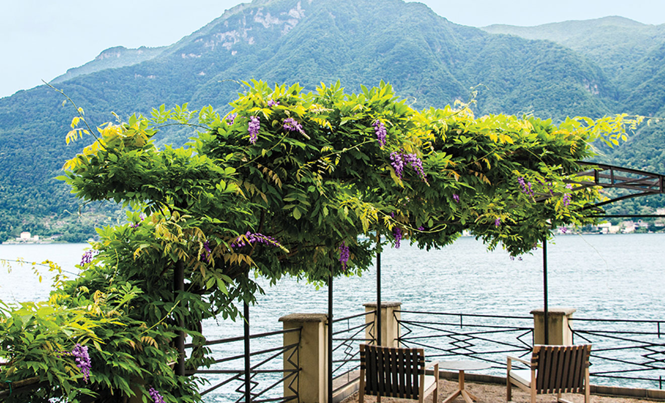 Gardens We Think Celebs Will Love, Based on Their Met Gala Dresses - Cottages & Gardens