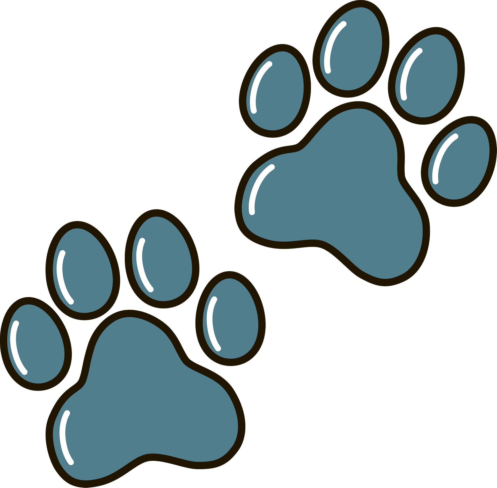 Animal Paw SVG