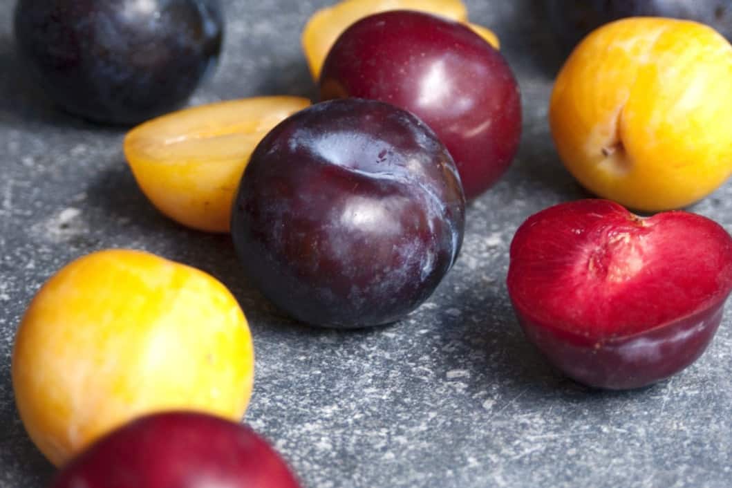 Can Chickens Eat Plums? (Nutrition, Pros, Cons & Feeding Tips)