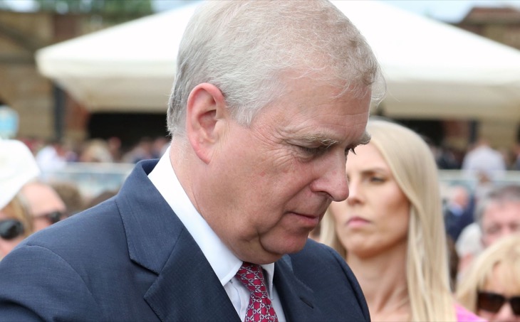 Royal Family News: Prince Andrew The Real “Victim” Of Virginia Giuffre Lawsuit, Demands Royal...