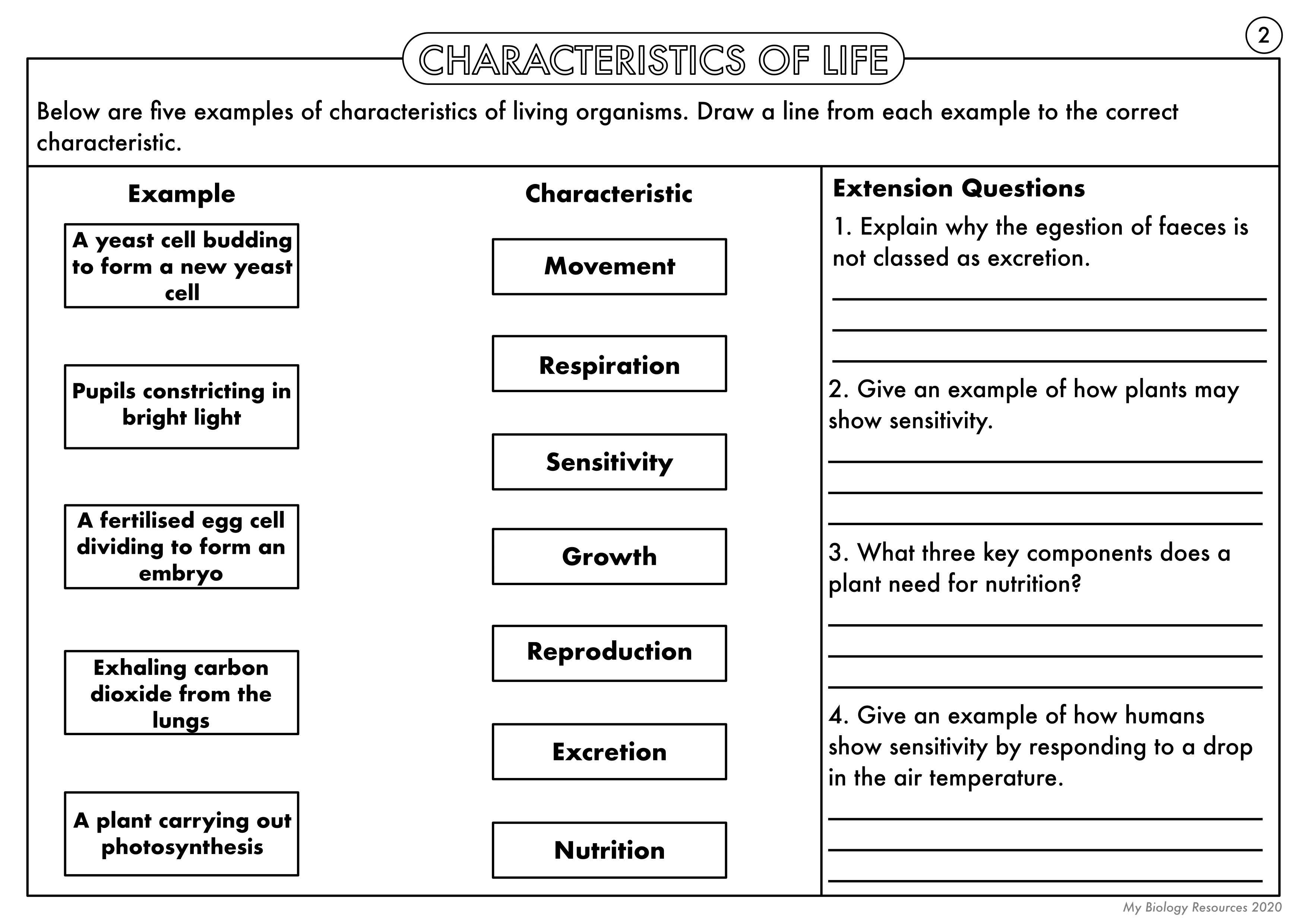 5 Characteristics Of Living Things Worksheets