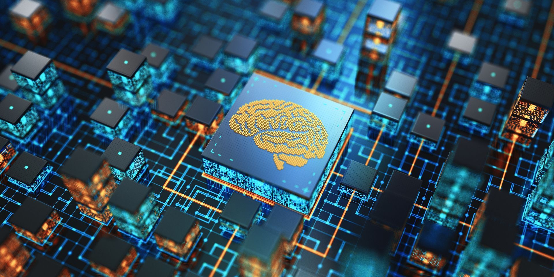 What Is The Brain Of The Computer?