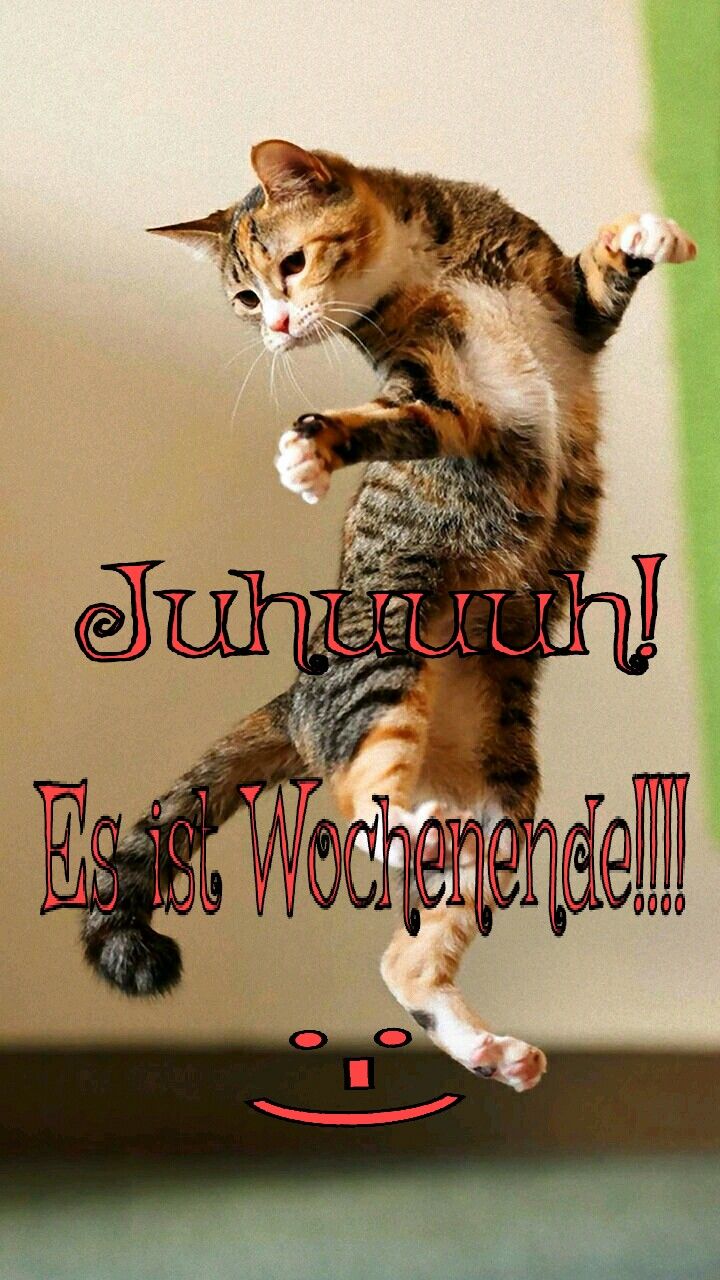 Schönes Wochenende Sprüche Lustig| Bilder Und Sprüche Für Whatsapp Und Facebook Kostenlos